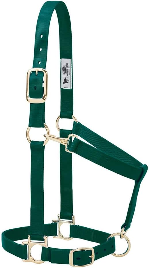 Weaver Leather Nylon Horse Halter, Padded and Adjustable, Chin and Throat Snap Hook Halters for Horses, Brass Plated Halters for Training