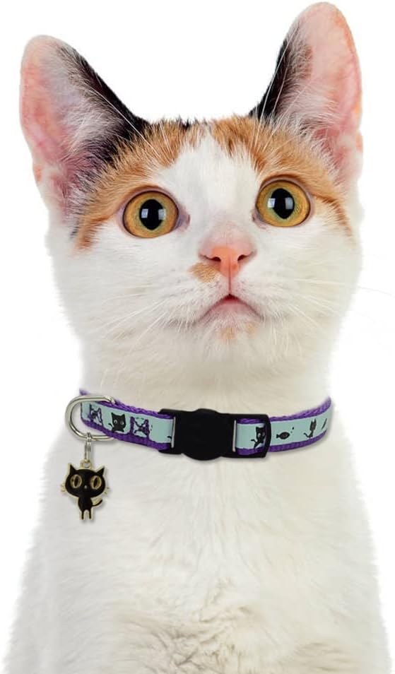 2 Pack Glow in The Dark Cat Collar with Bell Breakaway Safety Cat Puppy Collars with Pendant Red and Purple