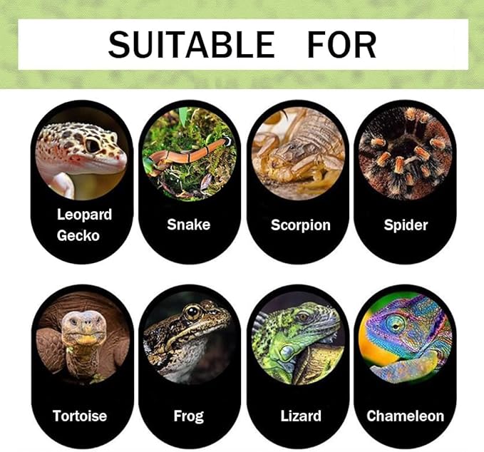Reptile Hideout Cave Resin Rock Lizard Hideaway Turtle Climbing Platform Habitat Decoration for Tortoise Bearded Dragon Chamelon Frog Gecko Snake Iguana