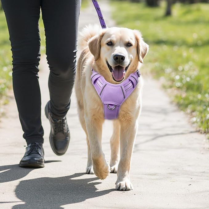 BARKBAY No Pull Dog Harness Large Reflective Dog Harness with Front Clip and Easy Control Handle for Walking Training Running with ID tag Pocket(Violet Purple,M)
