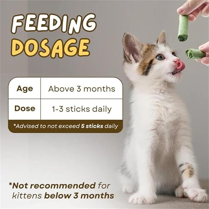 Primeco Cat Grass Teething Stick, Natural Grass Molar Rod Made of Chicken & Cat Grass, 6 PCS Per Bag for Cat Indoor Teeth Cleaning, Hairball Removal, Dental Care, Increase Appetite (4 pcs)