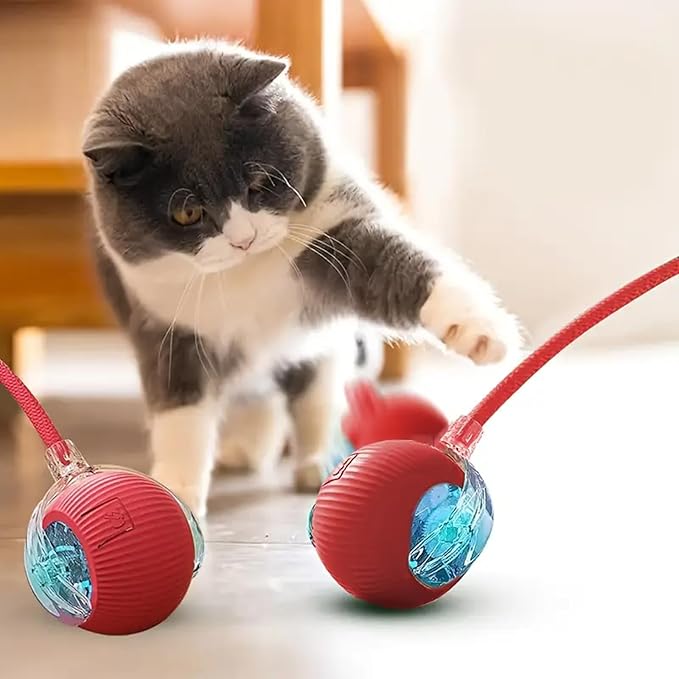 Interactive Cat Toys Ball, Newly Upgraded Automatic with Elastic Tail Rope and USB Charging. Stimulates Hunting Instincts and Promotes Exercise. Interactive Cat Toys for Bored Indoor Adult Cats