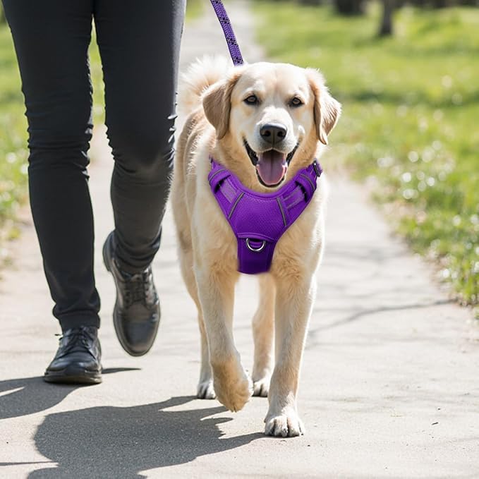 BARKBAY No Pull Dog Harness Large Reflective Dog Harness with Front Clip and Easy Control Handle for Walking Training Running with ID tag Pocket(Purple,XL)