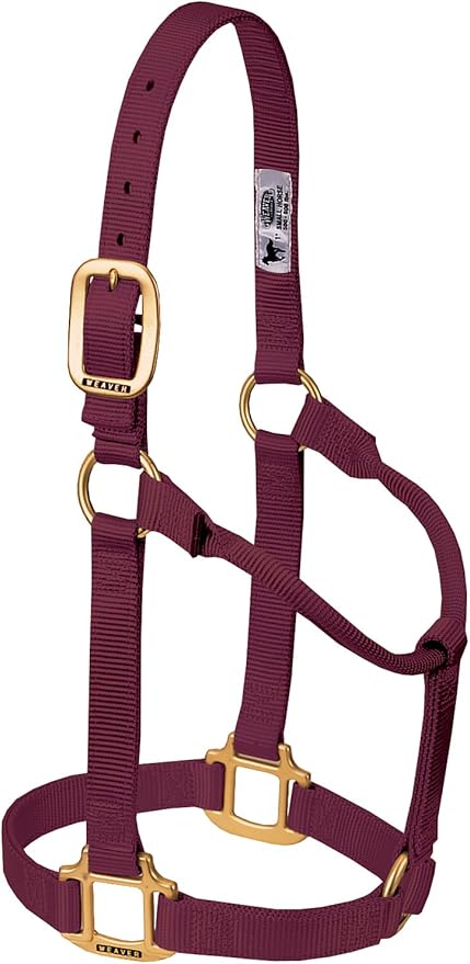 Weaver Equine Nylon Horse Halter, Triple-Ply Cheek Design, Original Non Adjustable Halters for Horses, Equine Tack,Average Size, Black