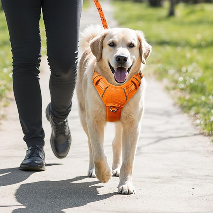 BARKBAY No Pull Dog Harness Large Reflective Dog Harness with Front Clip and Easy Control Handle for Walking Training Running with ID tag Pocket(Orange,M)