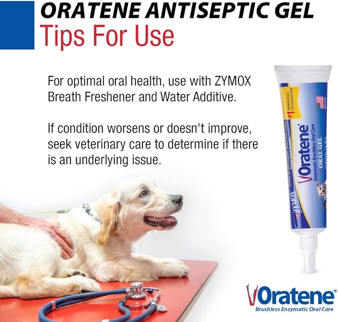 Pet King Brands ZYMOX Oratene Brushless Oral Gel for Dogs and Cats, 1oz