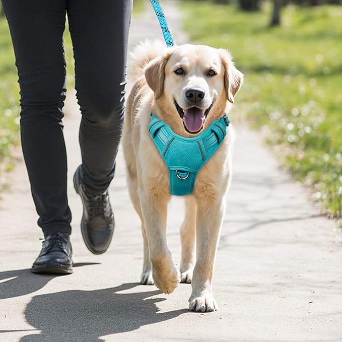 BARKBAY No Pull Dog Harness Large Reflective Dog Harness with Front Clip and Easy Control Handle for Walking Training Running with ID tag Pocket(Ocean Blue,M)