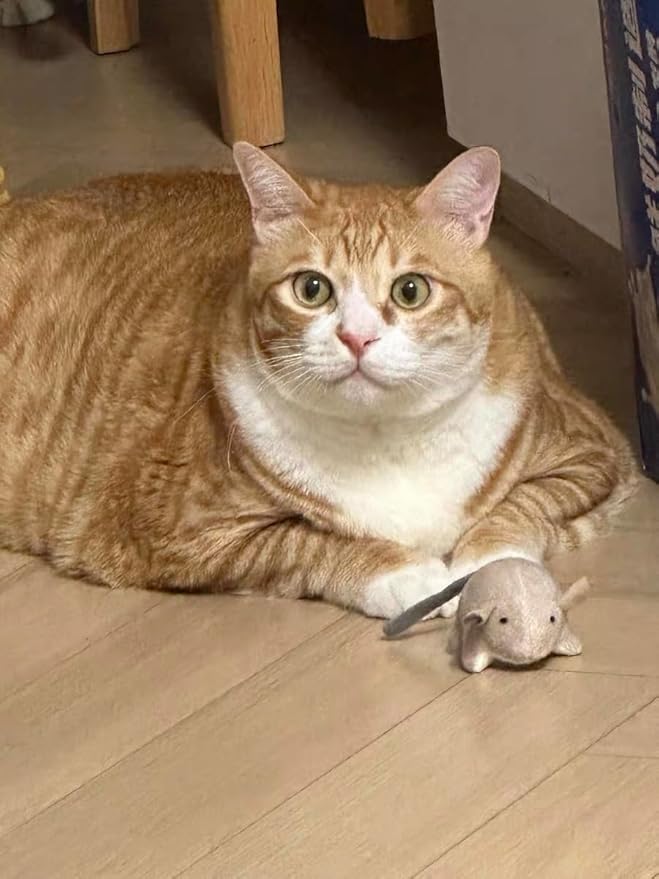 Plush Catnip Mice Toys with Crinkle Sound - 2 Pcs Interactive Cat Toys for Indoor Cats, Durable Stress Relief Eco-Friendly Small Mouse Chew Playthings(Camel+ Chestnut Color)