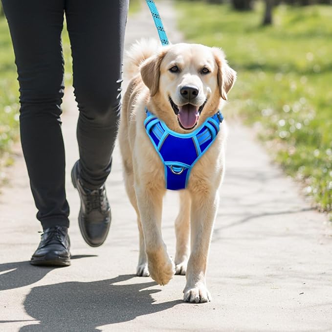 BARKBAY No Pull Dog Harness Large Reflective Dog Harness with Front Clip and Easy Control Handle for Walking Training Running with ID tag Pocket(Sapphire Blue & Blue,M)