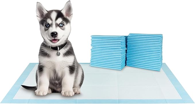 BV XXL Puppy Pads 40 Count 30" x 36" - Leak-Proof Pee Pads for Dogs with 6-Layer Design, Rapid Dry Sheet & Attractant - Dog Pad Extra Large with Odor Control - Perfect for Big Dogs & Indoor Use