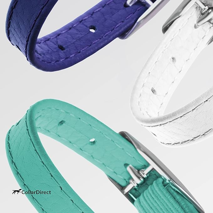 CollarDirect Leather Cat Collar, Cat Safety Collar with Elastic Strap, Kitten Collar with Bell Black Blue Red Orange Lime Green (8-11 Inch, White)