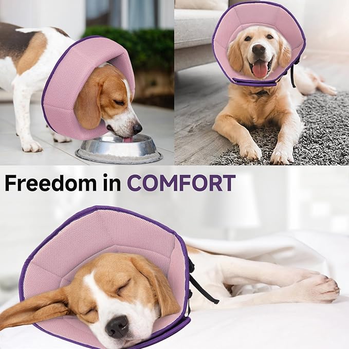 Dog Cone Collar M, Soft Cones for Large Medium Small Dogs,Adjustable Dog Cone Alternative to Stop Licking, Comfy Elizabethan Collar for After Surgery Wound Healing & Hot Spots Purple