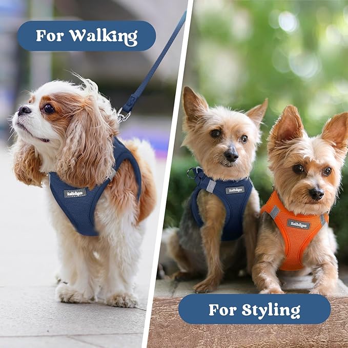 rabbitgoo Small Dog Harness, Step-in Soft Mesh Puppy Vest with Safety Buckle, Breathable Reflective Pet Harness for Extra Small Dogs, Navy Blue XXXS