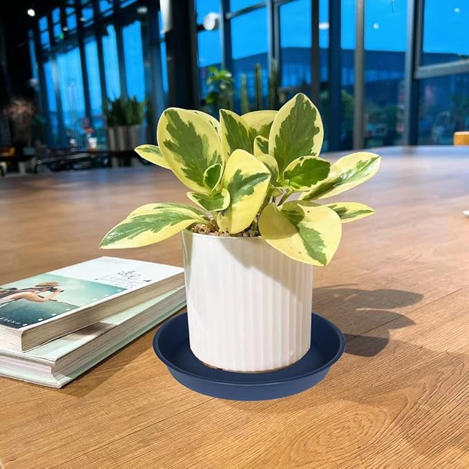 2 Pack of 16 17 inch Plant Saucer (15 inch Base), 2.3" Depth, Plant Trays for Pots, Plastic Plant Saucers for Indoors, Flower Pot Drip Trays for Planter (17", Blue)