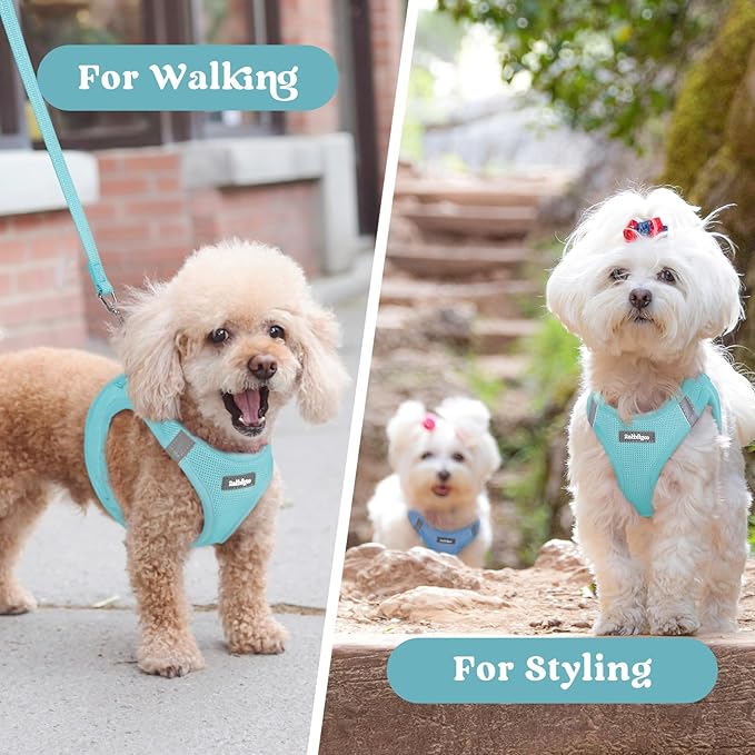 rabbitgoo Small Dog Harness, Step-in Soft Mesh Puppy Vest with Safety Buckle, Breathable Reflective Pet Harness for Large Dogs, Mint Blue XXL