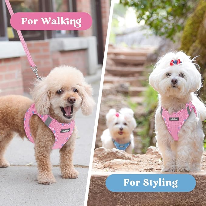 rabbitgoo Small Dog Harness, Step-in Soft Mesh Puppy Vest with Safety Buckle, Breathable Reflective Pet Harness for Small Sized Dogs, Pink & Plaid Trim M