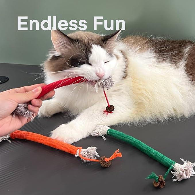 Kitten Toys, Cat Chew Toy for Indoor Cats, Catnip Toys for Teeth Cleaning, Interactive Cat Nip Teething Rope Toys for Cats Kitty, 3 Pack (Include 1 Pack of Catnip)