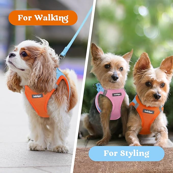 rabbitgoo Small Dog Harness, Step-in Soft Mesh Puppy Vest with Safety Buckle, Breathable Reflective Pet Harness for Extra Small Dogs, Blue & Orange XXXS