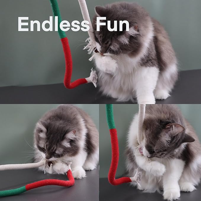Kittens Toys,Cat Chew Toys for Indoor Cats, Catnip Toy for Teeth Cleaning, Interactive Cat Nip Teething Rope Toys for Cats Kitty, 2 Pack (27.56&7.87 inches,Plus 2 Packs of Catnip)