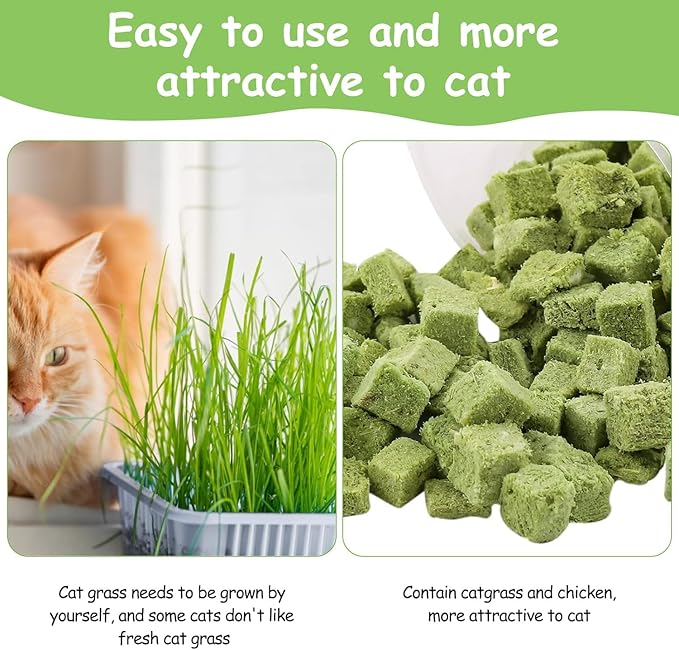 HavenJanny 120g Freezed Drying Cat Grass Treats for Cats, Cat Grass Teething Stick Snacks for Cats Hairball Removal and Teeth Cleaning