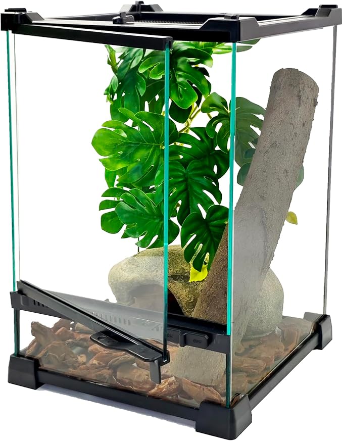 Woyrise Reptile Glass Terrarium Tank 8"x8"x12", Front & Top Opening Door Full View Visually Appealing Mini Reptile or Amphibians Habitat, Stackable Vertical Enclousure for Small Reptiles