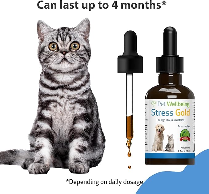 Pet Wellbeing Stress Gold for Cats - Occasional High Stress and Restlessness, Supports Relaxation, Travel, Vet Trips, Skullcap, Valerian - Veterinarian-Formulated Herbal Supplement 2 oz (59 ml)