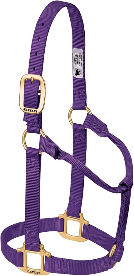 Weaver Equine Nylon Horse Halter, Triple-Ply Cheek Design, Original Non Adjustable Halters for Horses, Equine Tack,Average Size, Black