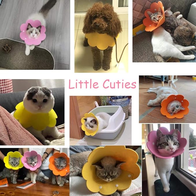 Adjustable Cat Recovery Collar - Cute Flower Neck Cat Cones After Surgery, Set of 2 Cat E Collar, Surgery Recovery Elizabethan Collars for Kitten and Cats S Size (2 pcs)