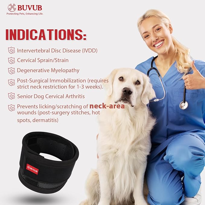 Adjustable Dog Neck Brace for Neck Pain & Injury Relief - Soft & Comfortable Support Collar for Dogs for Recovery After Surgery or Injury(Small)