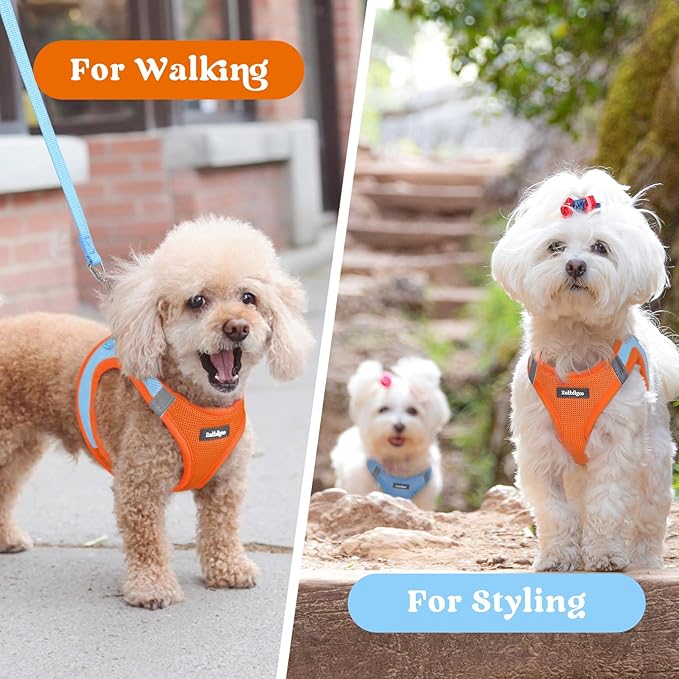 rabbitgoo Small Dog Harness, Step-in Soft Mesh Puppy Vest with Safety Buckle, Breathable Reflective Pet Harness for Small Medium Dogs, Blue & Orange L