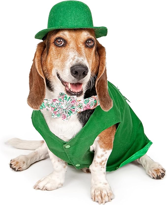 Lionheart glory St. Patrick's Day Dog Collar with Flower Dog Collars for Medium Dogs, Heavy Duty Green Collars Lucky Clover Shamrock Dogs Collar Flower Puppy