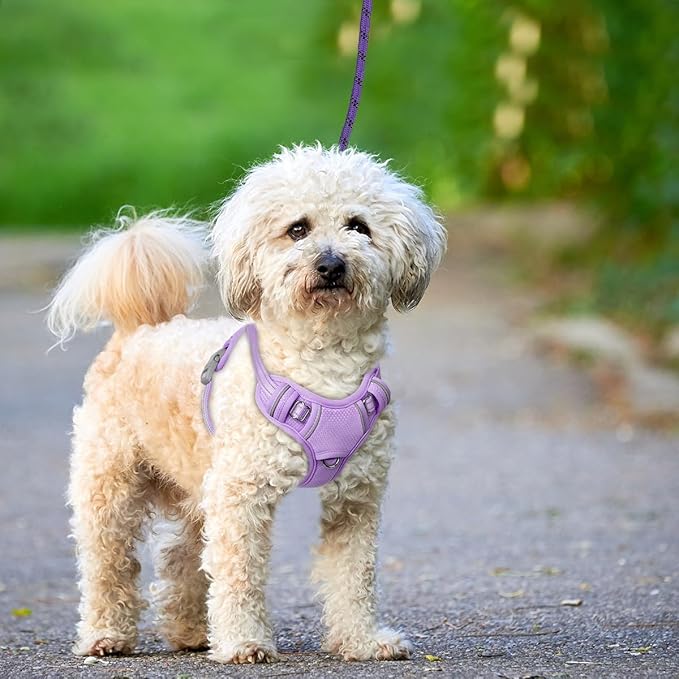 BARKBAY No Pull Dog Harness Large Reflective Dog Harness with Front Clip and Easy Control Handle for Walking Training Running with ID tag Pocket(Violet Purple,S)