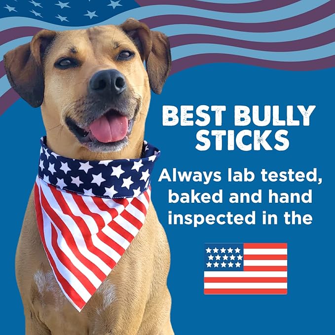 Best Bully Sticks Odorless 4-8 Inch Bully Sticks for Dogs - 8 oz (Pack of 1) - Natural Grass-Fed Beef, No Rawhide, Grain and Odor Free Chew Treat - Small, Medium, Large Breeds, Puppies