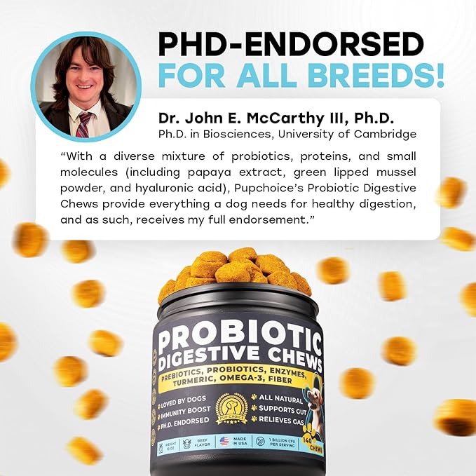 Probiotics for Dogs - PhD Endorsed Digestive Enzymes - Gut Health, Diarrhea & Bowel Support - Dog Treats with Turmeric, Omega-3 & Fiber - Immune Soft 140 Chews - Beef Flavor - Made in USA