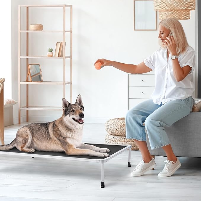 Veehoo Chewproof Elevated Dog Bed - Cooling Raised Pet Cot, Breathable Mesh, Washable & Non-Slip for Large Dogs, Indoor/Outdoor, Black Mat and Silver Metal Frame, 49x33inches (Model CWC2203B03)