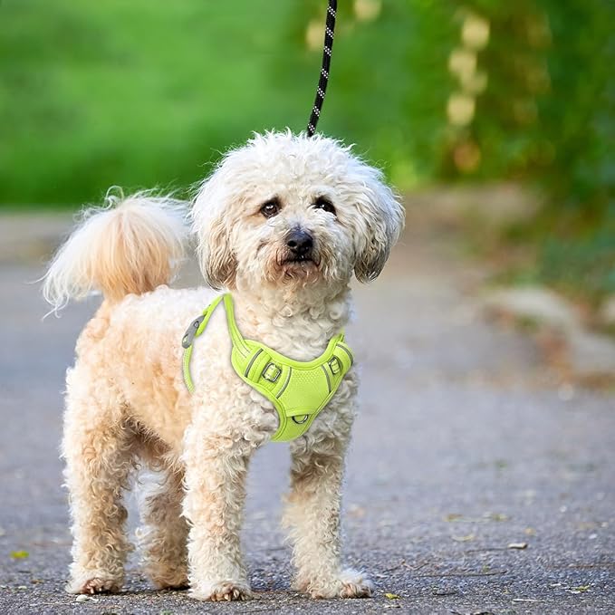 BARKBAY No Pull Dog Harness Large Reflective Dog Harness with Front Clip and Easy Control Handle for Walking Training Running with ID tag Pocket(Sunlight,S)