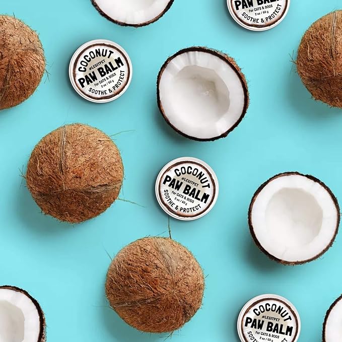 Coconut Paw Balm for Dogs by legitpet