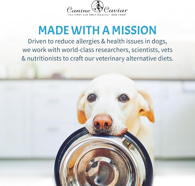 Canine Caviar - Leaping Spirit: Venison & Pearl Millet Alkaline Dry Dog Food, Limited Ingredients, Gluten-Free, Based on Science & Research, Veterinary Alternative Diet (11 Pound Bag)