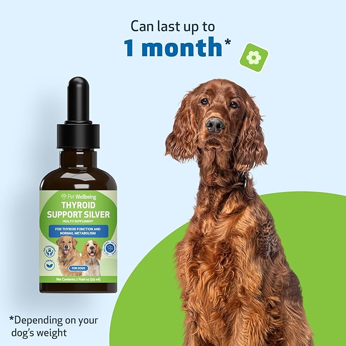 Pet Wellbeing Thyroid Support Silver for Dogs - Supports Balanced Thyroid Function, Healthy Metabolism, Normal Energy, Ashwagandha, Bacopa - Veterinarian-Formulated Herbal Supplement 2 oz (59 ml)