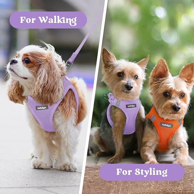 rabbitgoo Small Dog Harness, Step-in Soft Mesh Puppy Vest with Safety Buckle, Breathable Reflective Pet Harness for Small Sized Dogs, Light Purple XS