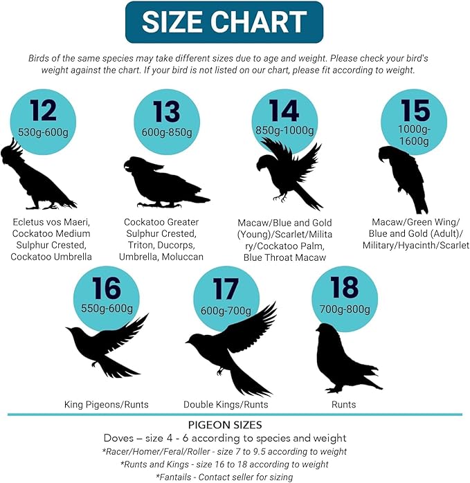 Bev's Bird Boutique Regular Flyper Adjustable Bird Diaper | Reusable, Washable Cloth | Comfort Fit for Parrot, Cockatiels, & Other Small Birds | Fashionable Avian Accessories, Retro Tux, Size 9.5