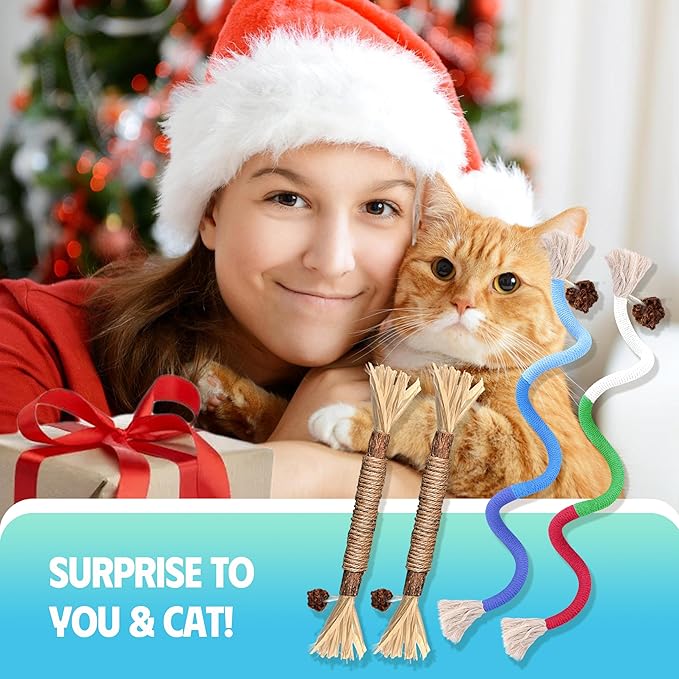 Cat Toys Chew Rope & Silvervine Sticks for Bored Indoor Adult Cats, 4Pcs Interactive Catnip Toys for Cats with Refillable Natural Catnip Bag for Teeth Cleaning