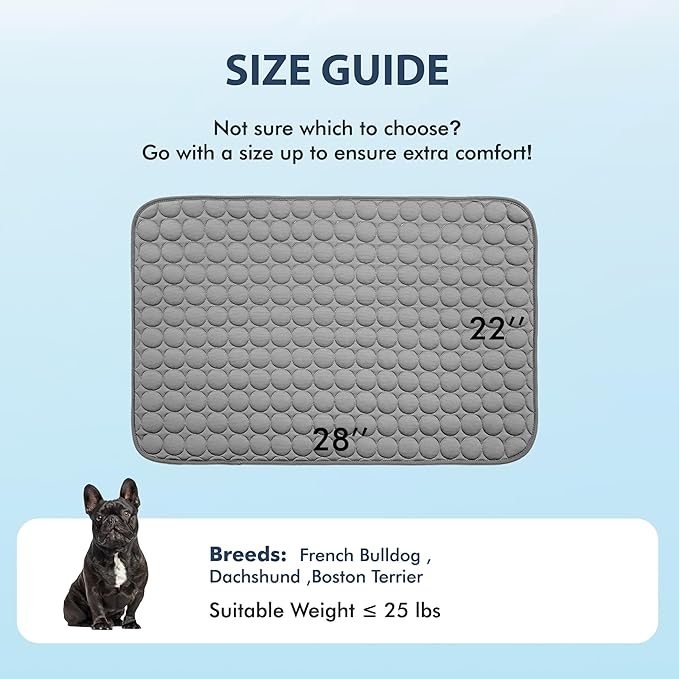 MICROCOSMOS Summer Cooling Mat & Sleeping Pad- Water Absorption Top, Materials Safe, Easy Carry, EZ Clean. Keep Cooling for Pets, Kids and Adults.(Dark Grey, 28" x 22")