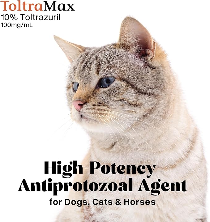 Toltrazuril 10.0% for Horses, Dogs, Cats, 240mL/8 Ounce, for Non-Food Chain Animals, Alfalfa