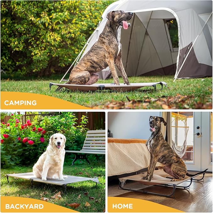 Daisy Cot, XL Foldable Elevated Dog Bed, Portable Raised Outdoor Folding Dog Cot, Cooling, Chew Proof, Waterproof, Heavy Duty Up to 160 lbs for Camping/Home, Brown, 49"x 33"x7"