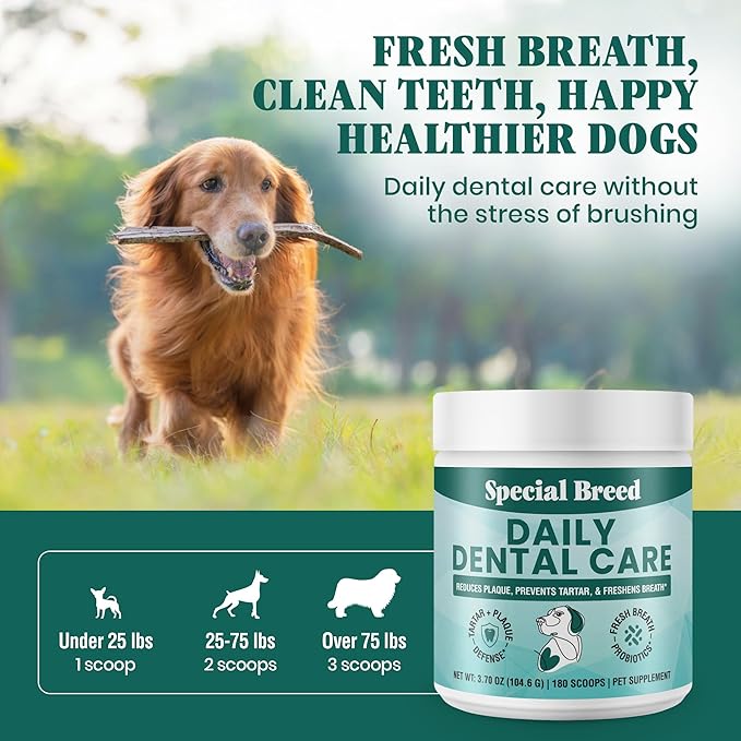 Dog Teeth Cleaning Powder – Natural Dog Dental Powder for Tartar Control, Fresh Breath & Gum Health – Daily Plaque Remover with Zeolite, Brown Algae, Probiotics & Rosemary – 180 Scoops