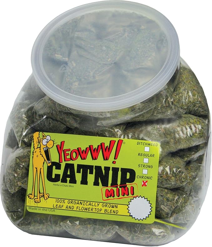 Yeowww! Jug with 50 Mini's Catnip Toys