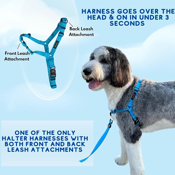 ShawnCo Dream Walk No-Pull Dog Harness- Adjustable, Comfortable, Easy to Use Pet Halter to Help Stop Pulling for Small, Medium and Large Dogs- Art Pattern Designs (Wolf Moon, S)