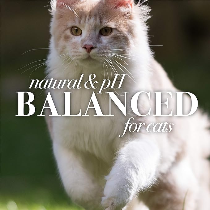 Burt's Bees for Pets Waterless Cat Grooming Spray with Shea Butter and Honey, 99.3% Natural Origin Formulas, Dry Shampoo, Kitten Supplies, 10oz