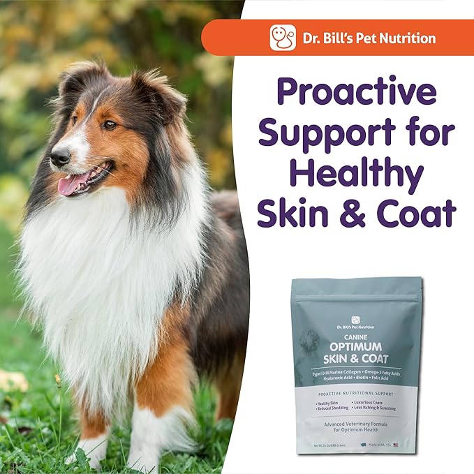 Dr. Bill's Canine Optimum Skin & Coat – Reduces Shedding, Itching, Dry Skin – Allergy Relief for Healthy Fur - Omega 3, Collagen, Biotin & Hyaluronic Acid – 680g Vet-Recommended Dog Supplement
